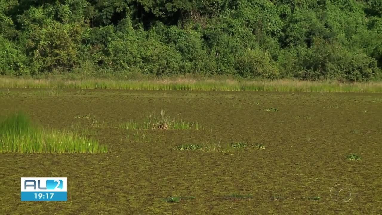VÍDEOS: AL 2 de quinta-feira, 27 de junho