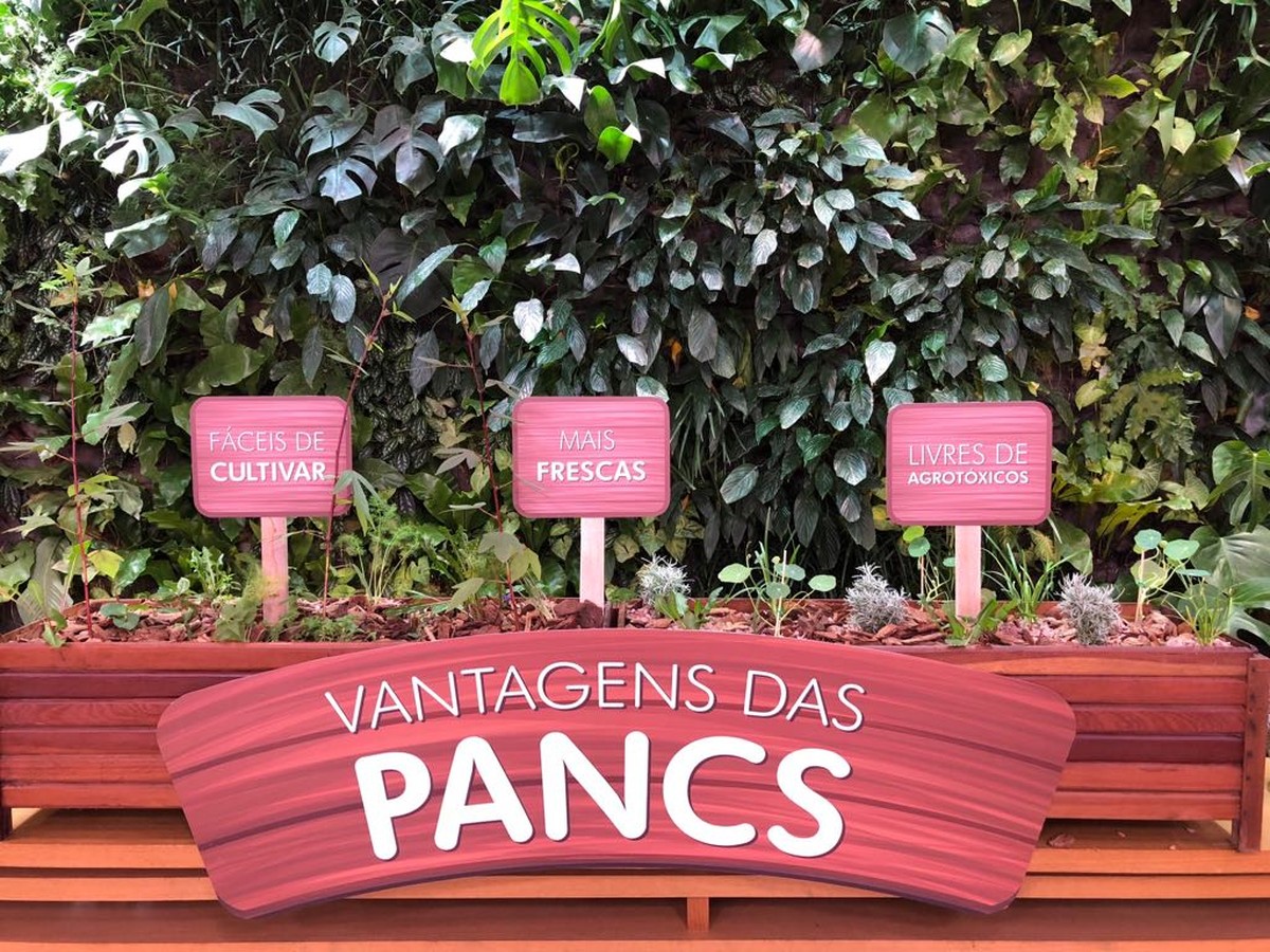 PANCs Conhe a Os Benef cios E Veja Receitas