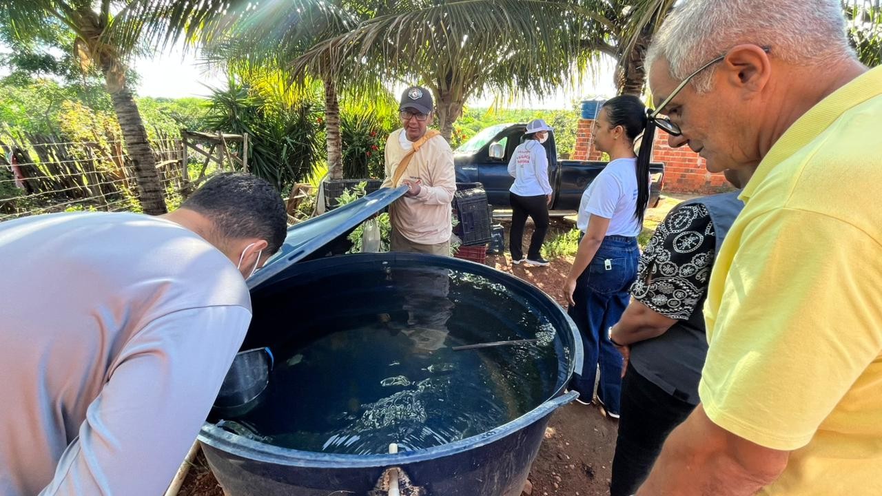 Dengue: com aumento de casos, Sesapi intensifica ações e reforça cuidados dentro de casa