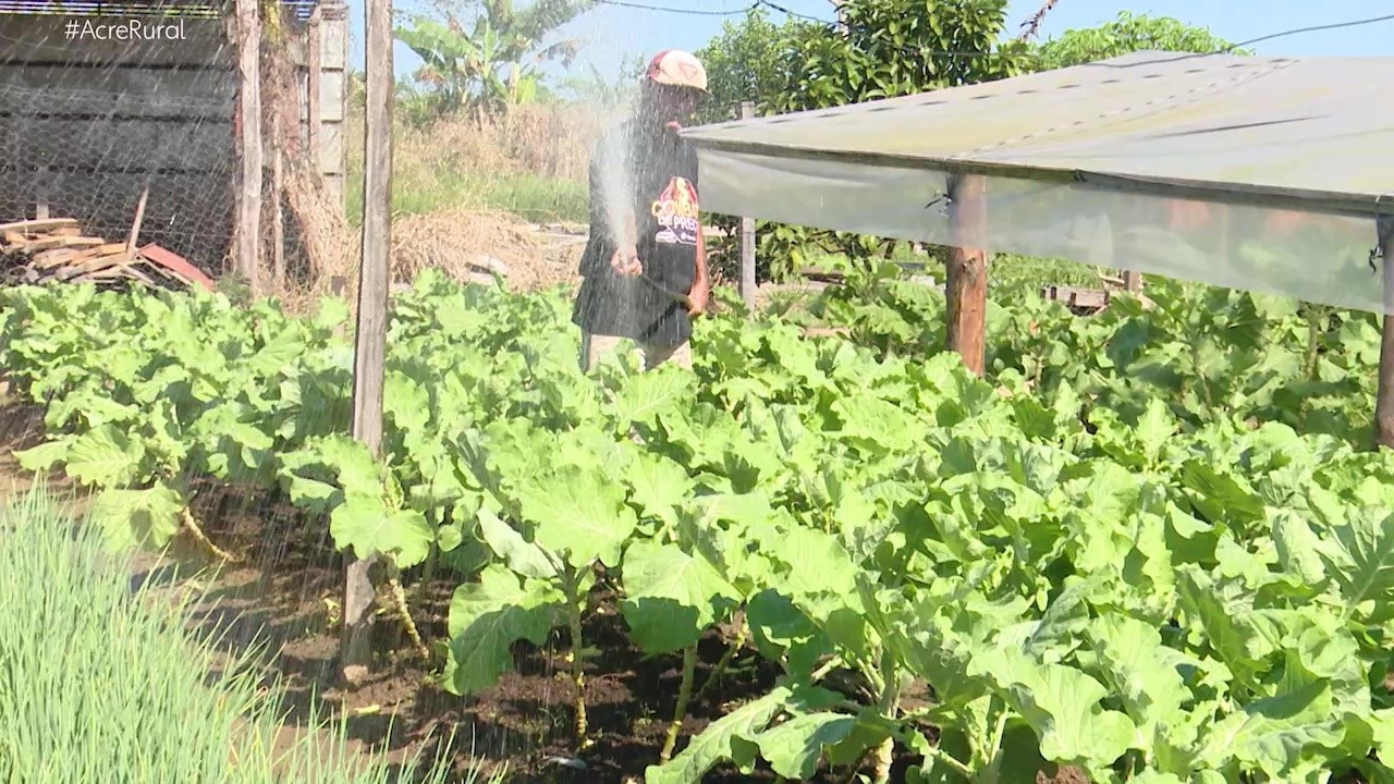 VÍDEOS: Acre Rural deste domingo, 23 de junho de 2024