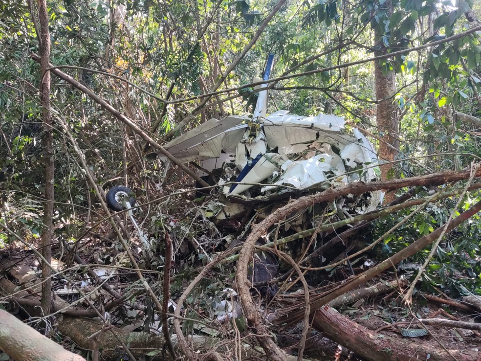 Monomotor Beechcraft Bonanza A-36 caiu em área de mata em Vilhena — Foto: Reprodução