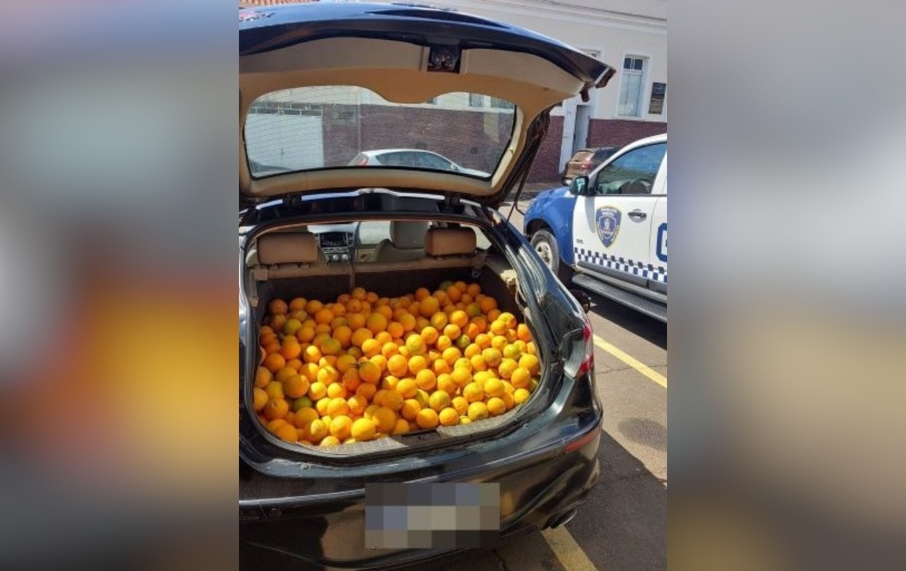 Homem é preso com carro cheio de laranjas furtadas em Itapetininga