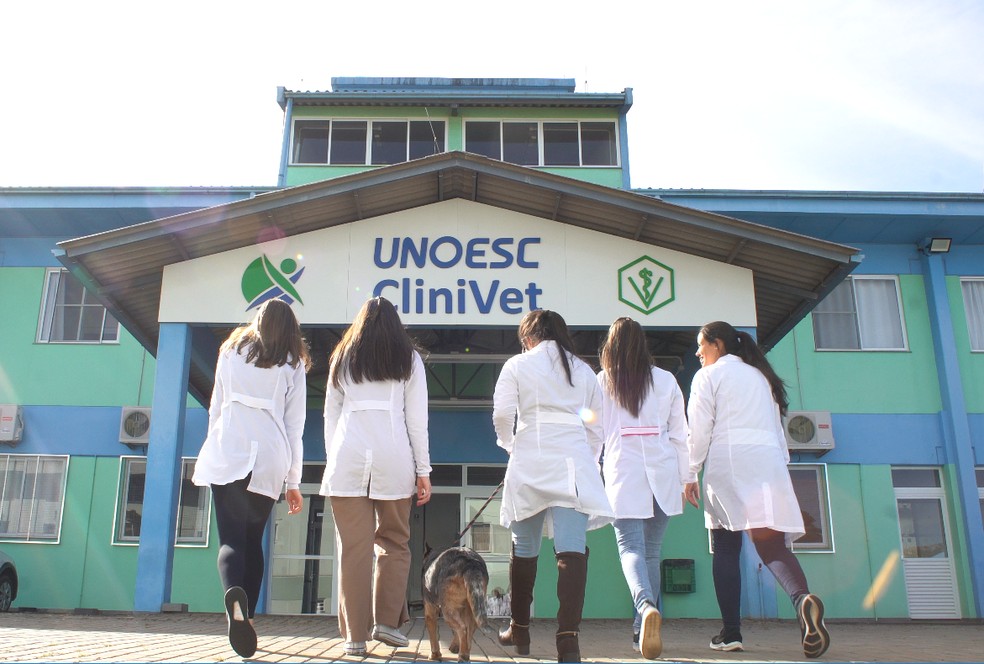 A Unoesc oferece atendimento aos animais. — Foto: Divulgação