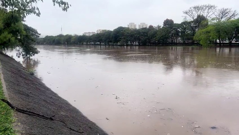 Rio Tietê na altura da Ponte Vila Maria, neste sábado (12) — Foto: Alex Ferreira/TV Globo