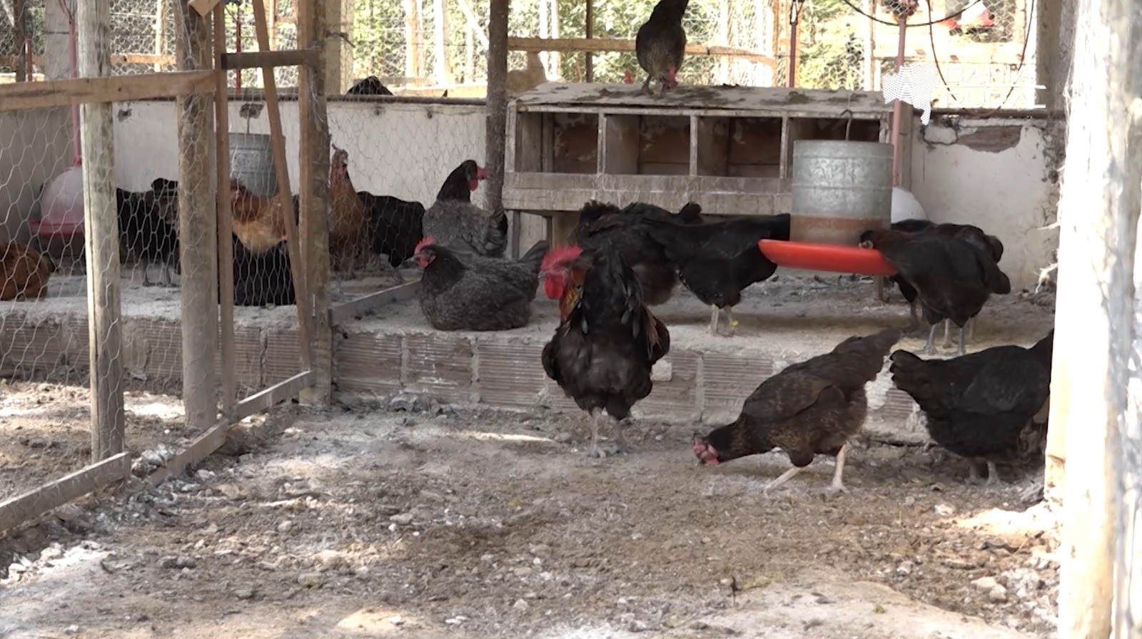 Vídeos do g1 e TV Bahia - domingo, 4 de janeiro de 2026