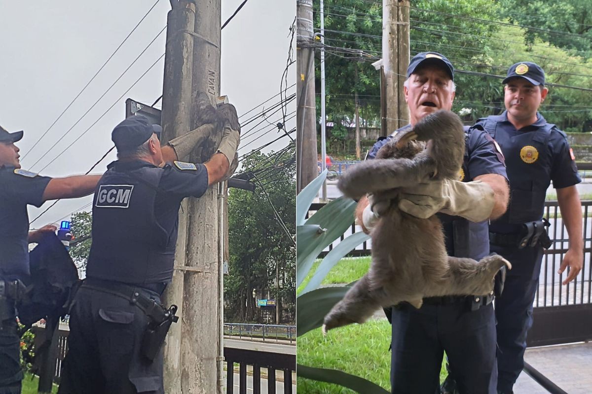 Você Não Tá Convidada pro Meu Bat Mitzvá!