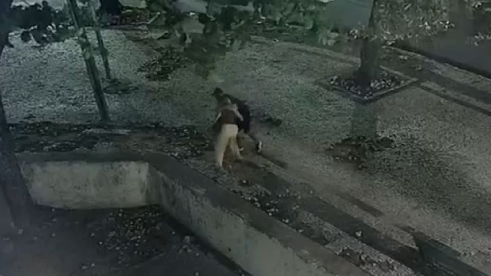 Capitão da PM é preso por agredir e tentar asfixiar mulher em praça em Fortaleza; vídeo