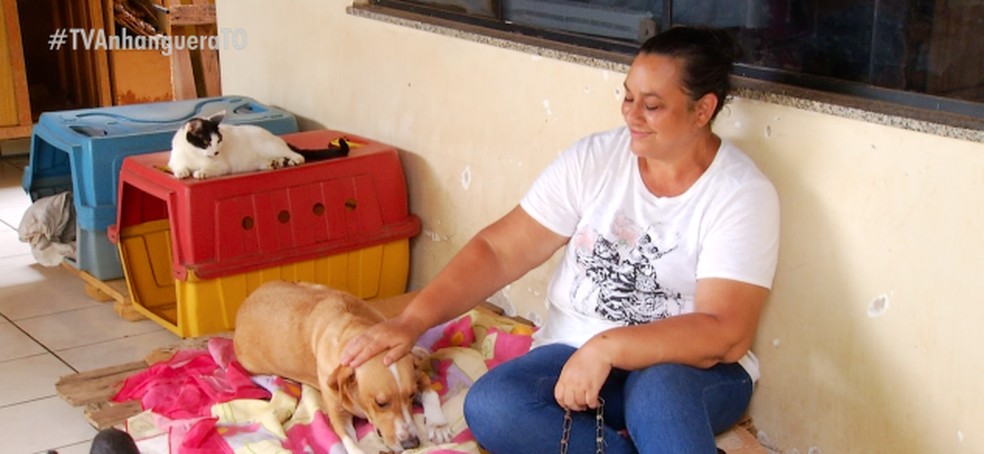ONG que cuida de animais vítimas de maus-tratos está sendo despejada de  casa em Palmas, Tocantins
