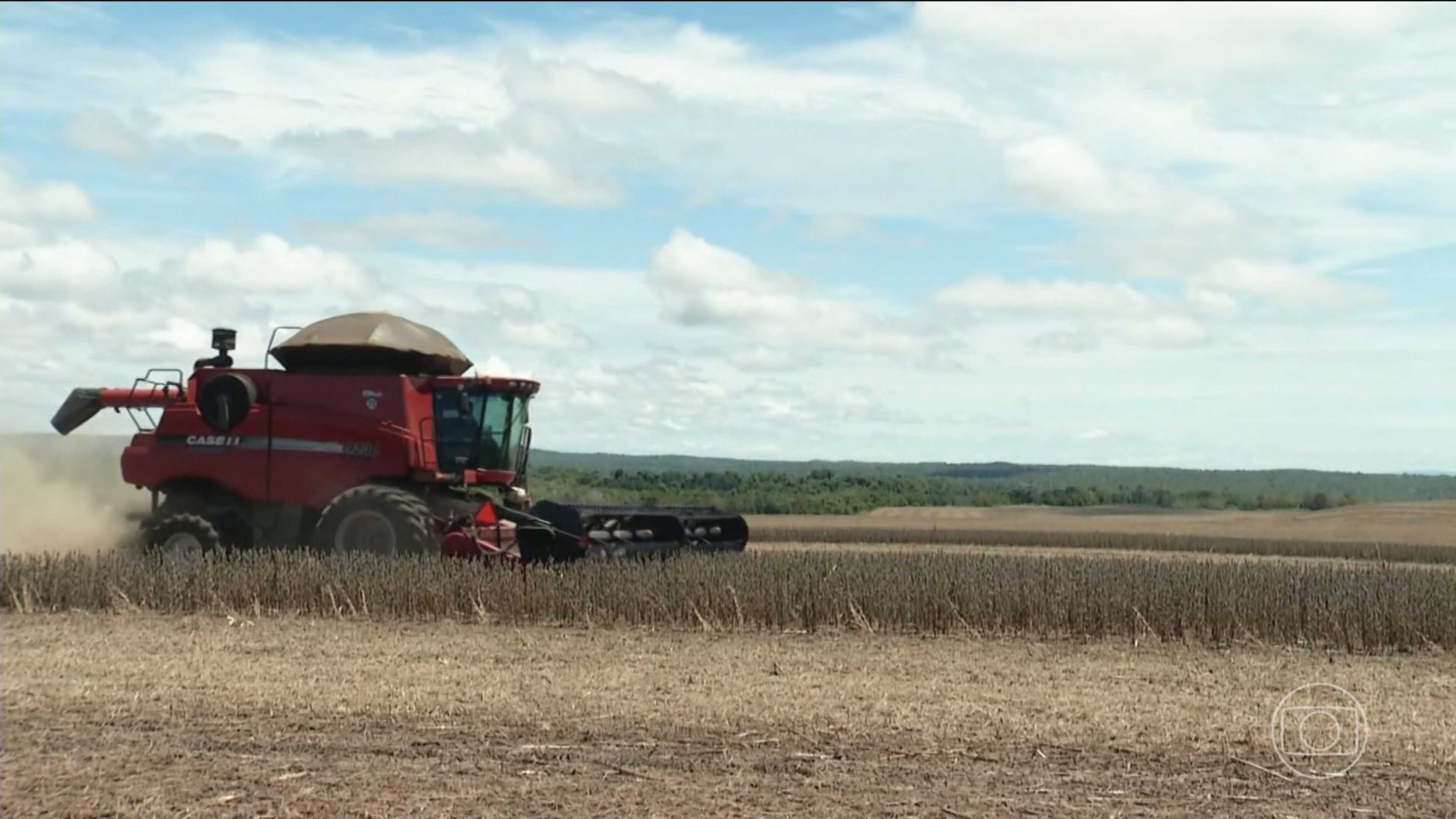 Apesar dos desafios climáticos, produção brasileira de grãos deve voltar a bater recorde