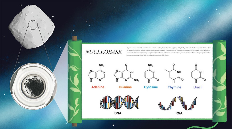 Ilustração mostra as cinco bases nucleicas (A, G, C, T e U) identificadas nas amostras do asteroide Ryugu, componentes essenciais do DNA e do RNA. — Foto: JAMSTEC