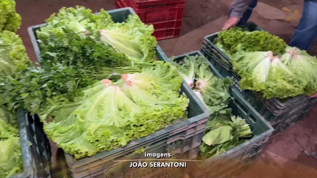 Saber definir preço dos produtos é um dos desafios de quem está no agro
