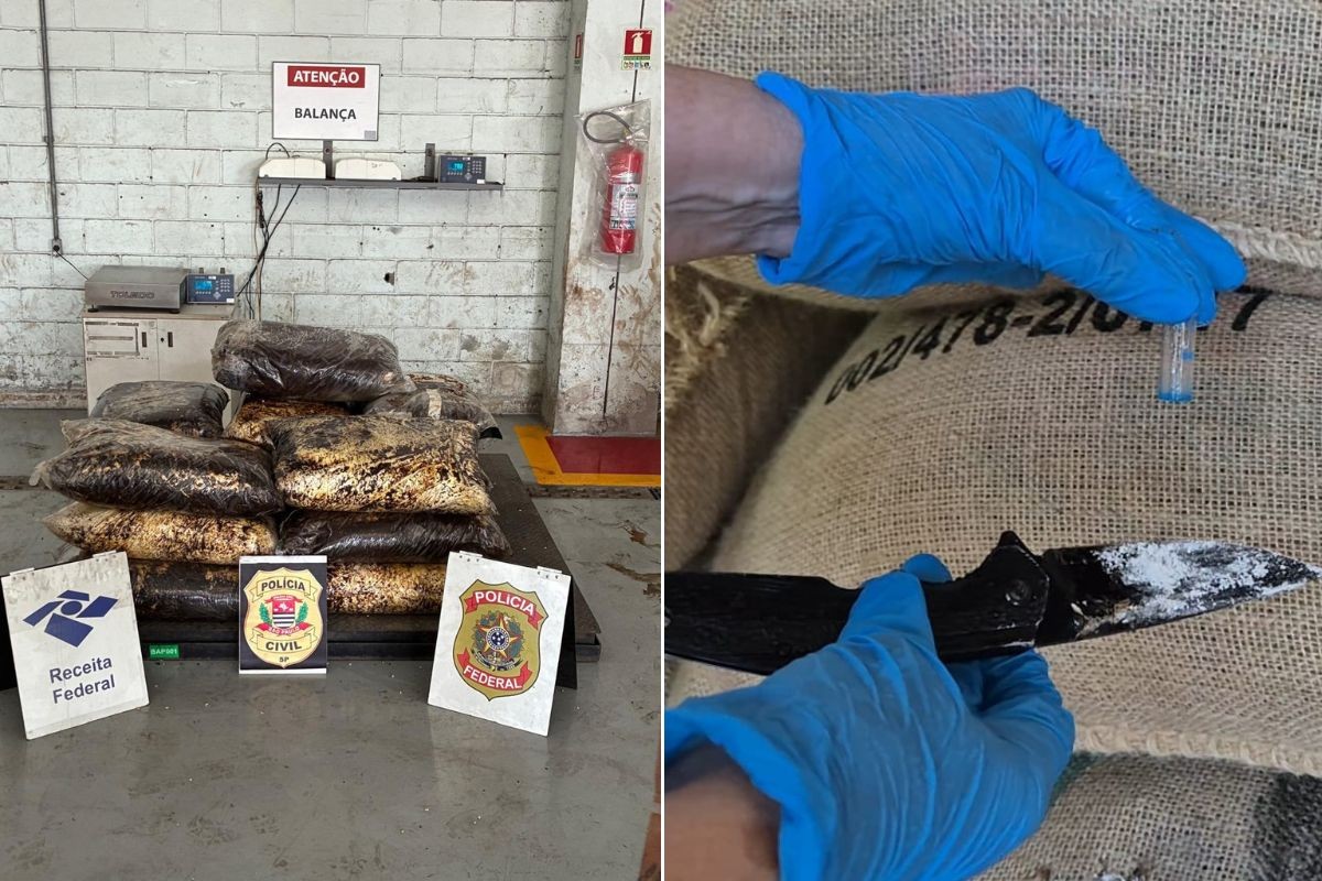 PF apreende 702 kg de cocaína escondidos em carga de café no Porto de Santos