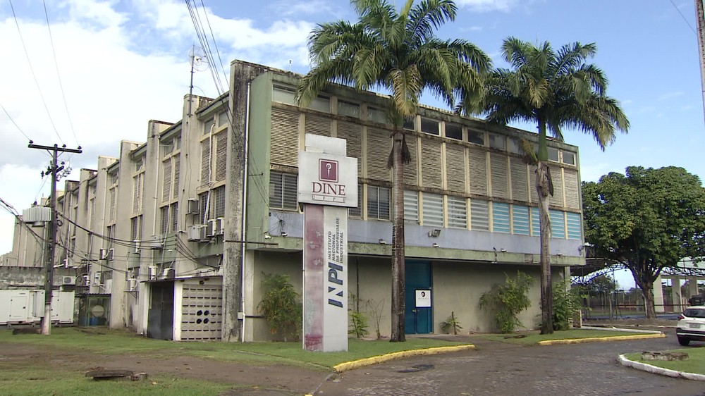 Imagem Reprodução/TV Globo