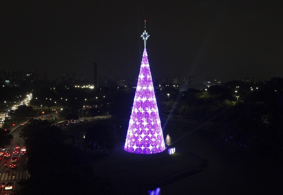 Vista da Árvore de Natal instalada no Parque Ibirapuera, na zona sul de São Paulo. — Foto: RONALDO SILVA/ATO PRESS/ESTADÃO CONTEÚDO