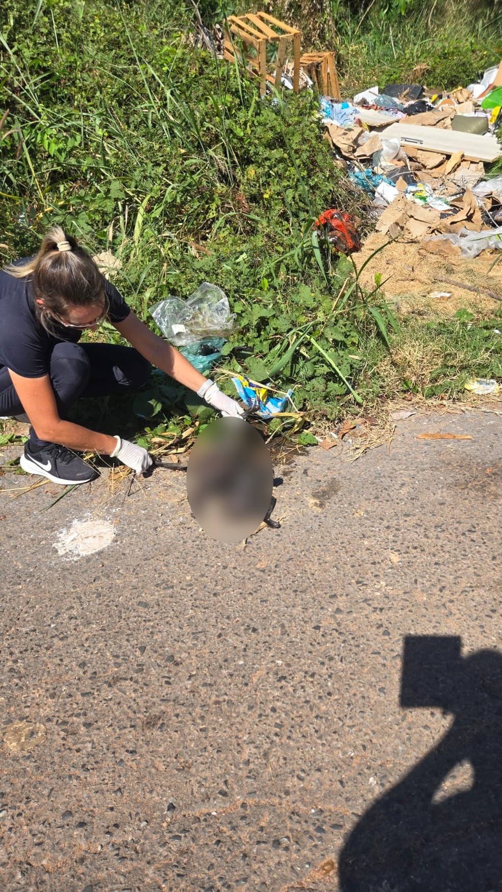Gato adotado por casal foi encontrado morto com sinais de maus-tratos — Foto: Polícia Civil