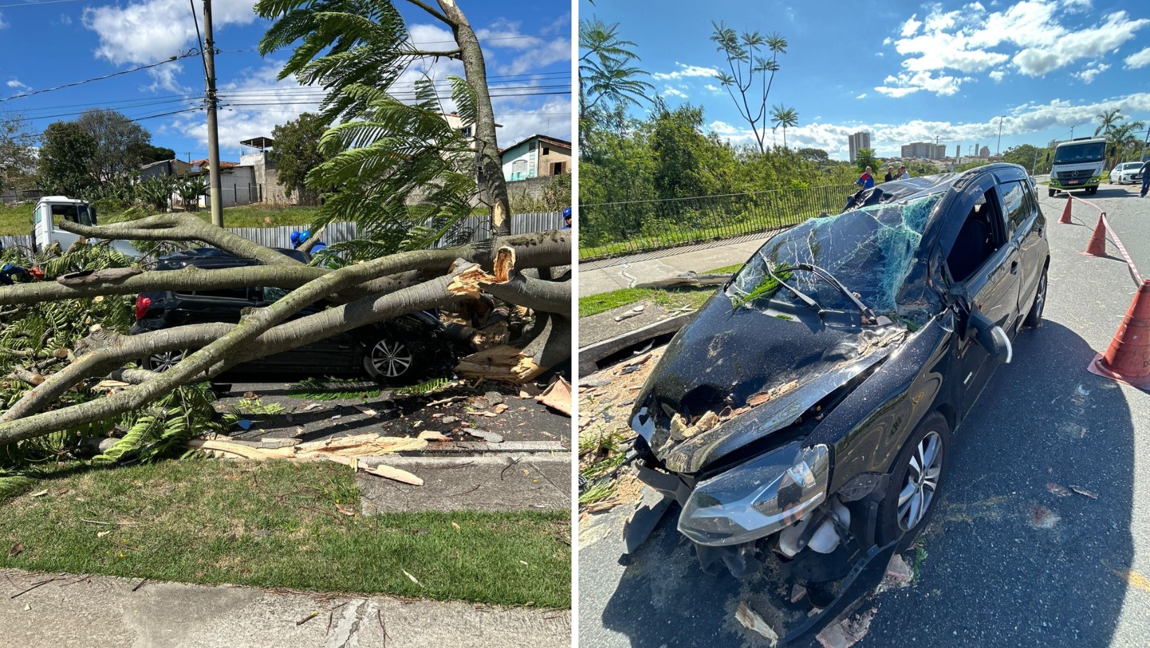 Motorista escapa ileso após árvore de grande porte cair e destruir carro em São José: 'Tentei dar ré, mas não deu tempo'