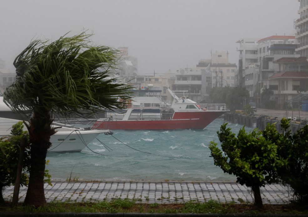 Ventos fortes agitam árvores em um porto durante a passagem do tufão Bavi, em Ishigaki, Japão, em 11 de julho de 2026. — Foto: REUTERS/Kim Kyung-Hoon