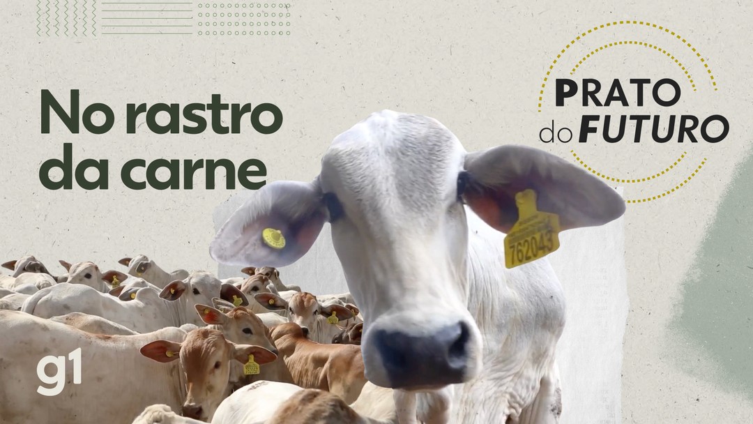 Carne, feijão, laranja: maior seca dos últimos 44 anos deve encarecer alimentos, dizem especialistas
