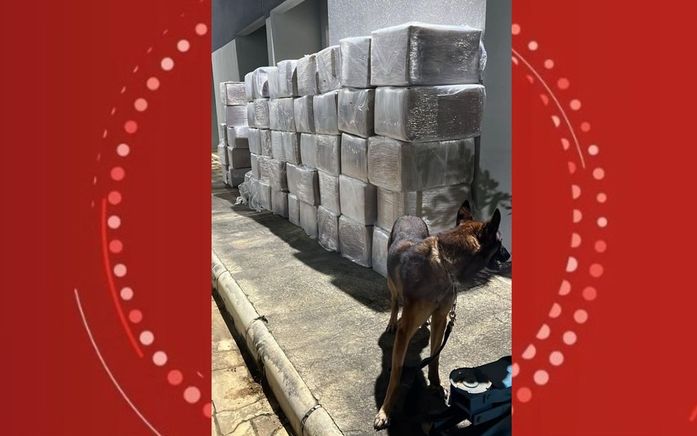 Homem é preso com seis toneladas de maconha dentro de caminhão na Bahia