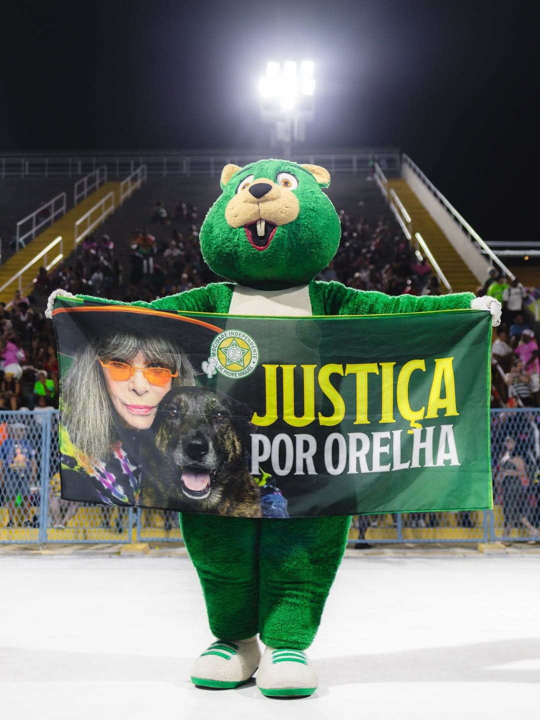 Cão Orelha: Mocidade leva bandeira para 1º ensaio técnico pedindo justiça por cachorro morto por adolescentes