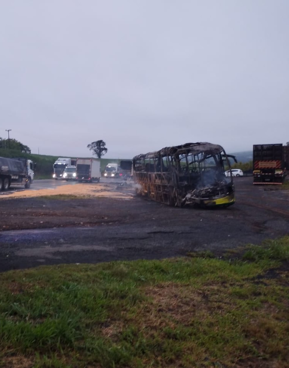 Ônibus pegou fogo após acidente — Foto: PRF