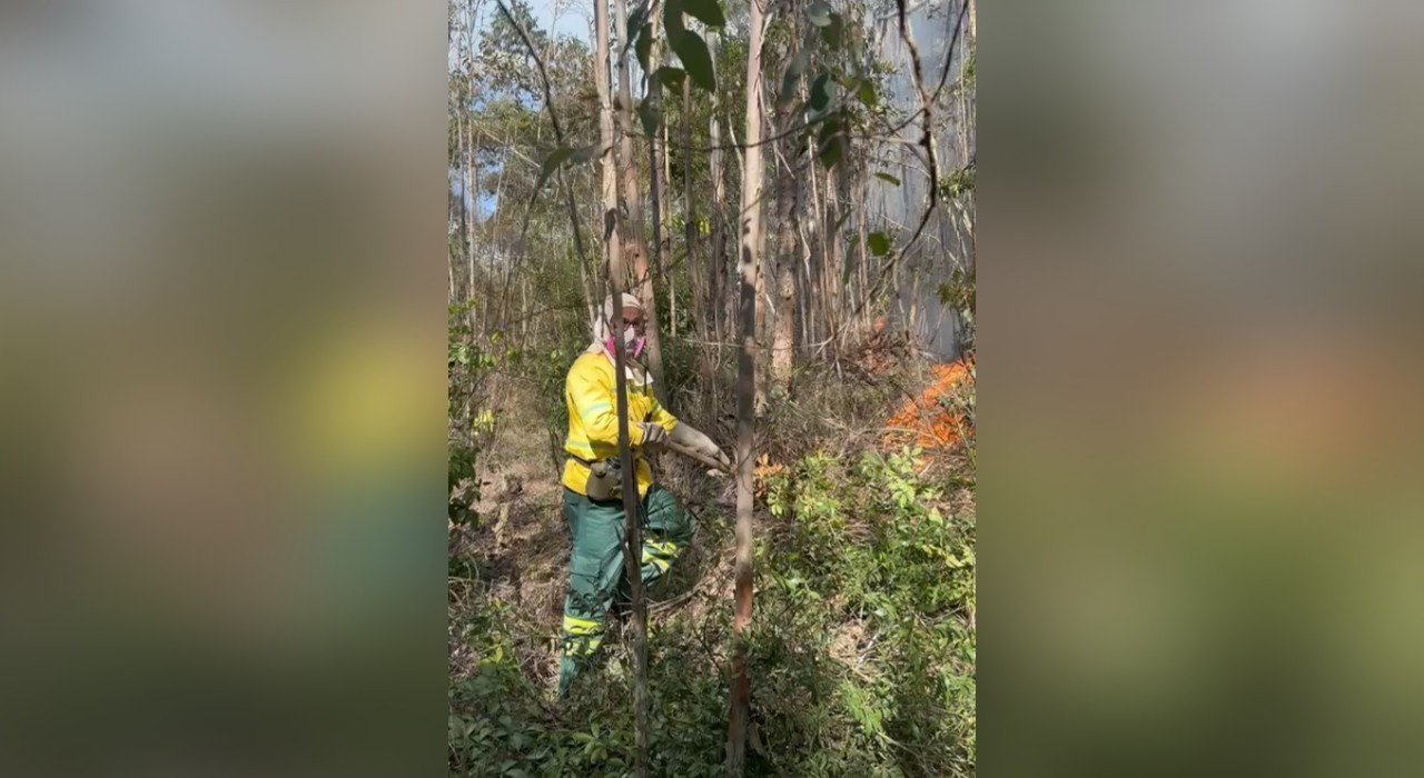 Incêndio de grandes proporções atinge área de proteção ambiental em Jundiaí 