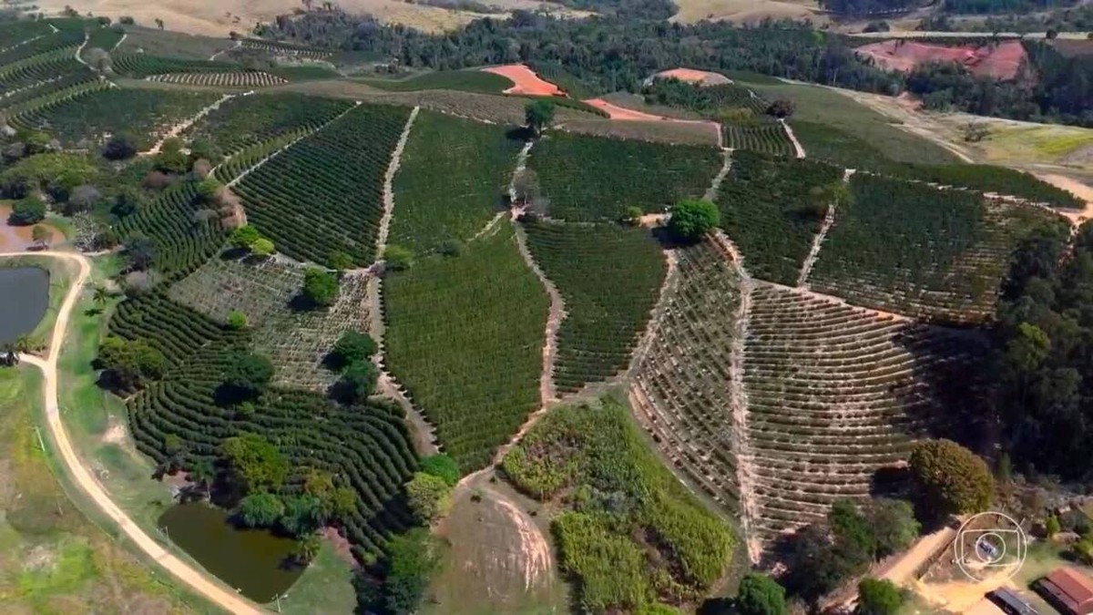 Extremos climáticos obrigam agricultores a adaptarem plantações