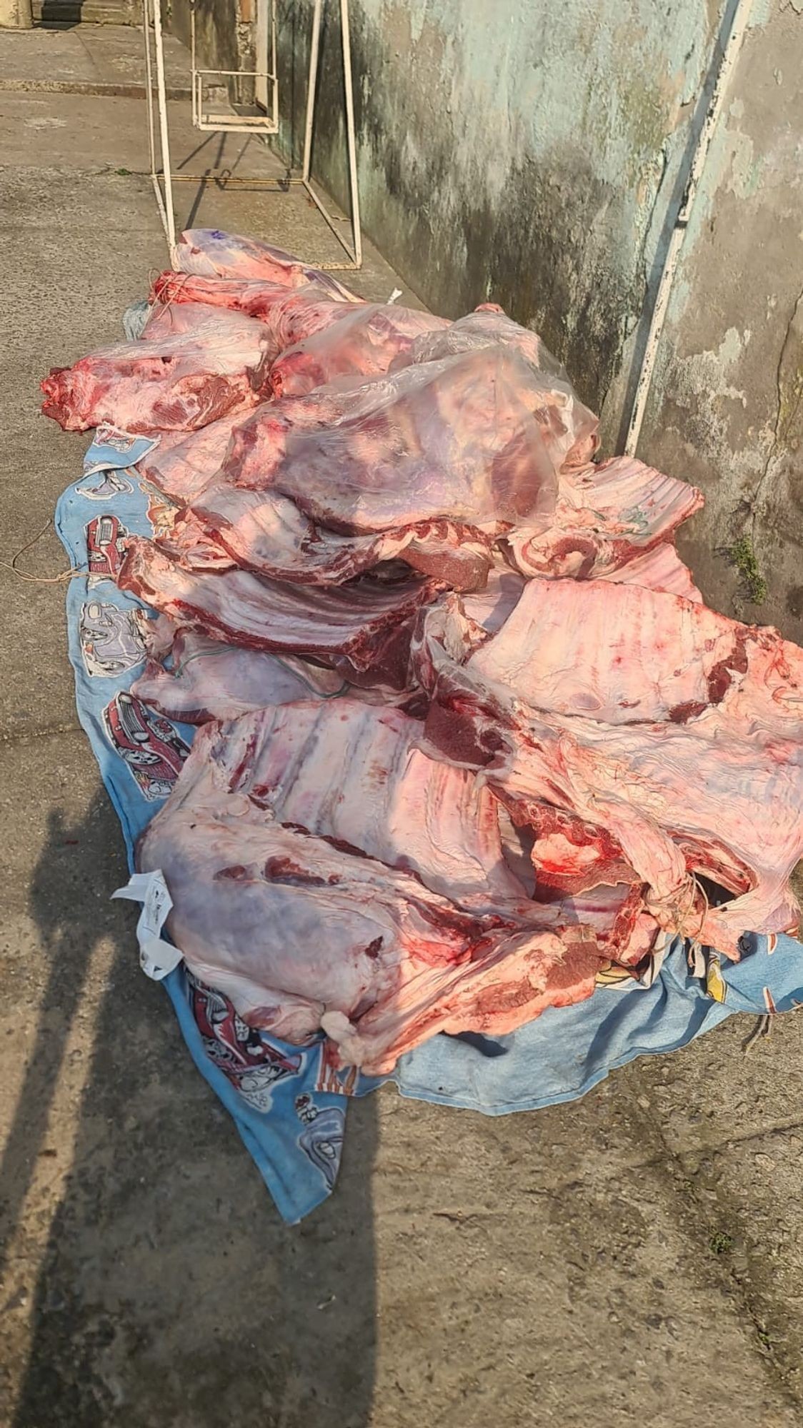 Criminosos em fuga batem carro após roubo de carga de carne em Anchieta