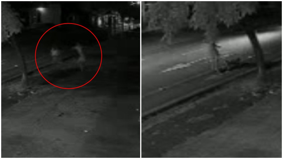 Vigia espancou até a morte homem em situação de rua com quem havia discutido um mês antes — Foto: Reprodução