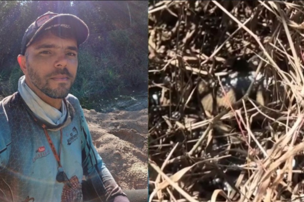 VÍDEO: 'Rei das sucuris' flagra cobra gigante camuflada e leva susto 