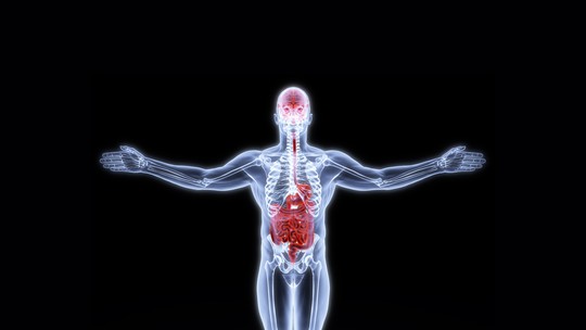 Saúde do intestino e reto: conheça os principais problemas e como cuidar - Do intestino "preguiçoso" às condições mais sérias, como hemorroidas e câncer, entenda os sinais de alerta e a importância da prevenção para a saúde digestiva.