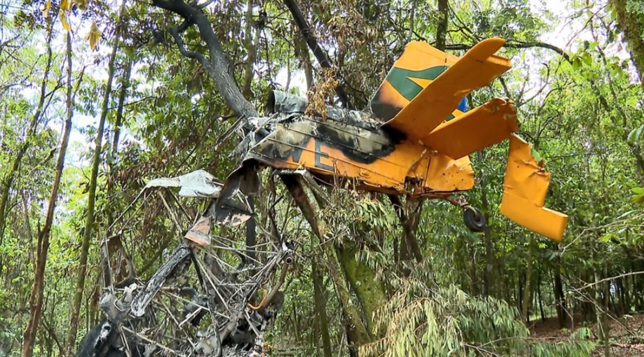 Piloto de avião que caiu sobreviveu sem nenhuma fratura: 'vi ele sair andando', diz produtor rural