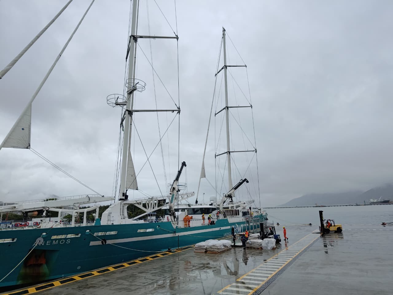Cargueiro gigante movido a vento vai transportar mais de 600 toneladas de café e cacau de SP até a Europa