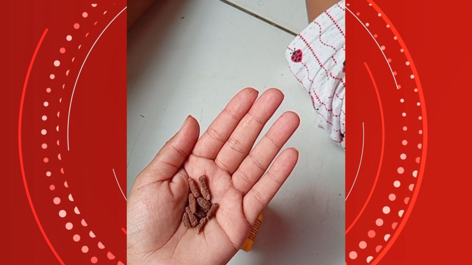 Polícia investiga mulher que ameaçou tomar veneno de rato e dar para a filha de 4 anos no ES