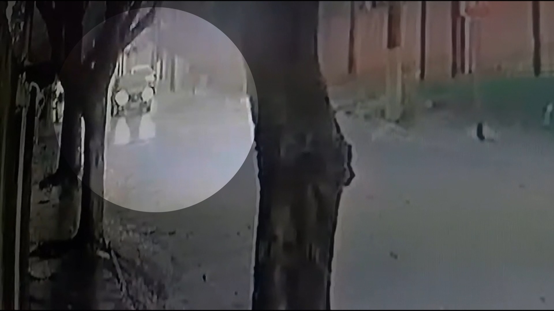 VÍDEO: árvore quase atinge carro em microexplosão em Araraquara; ventos chegaram a 90 km/h