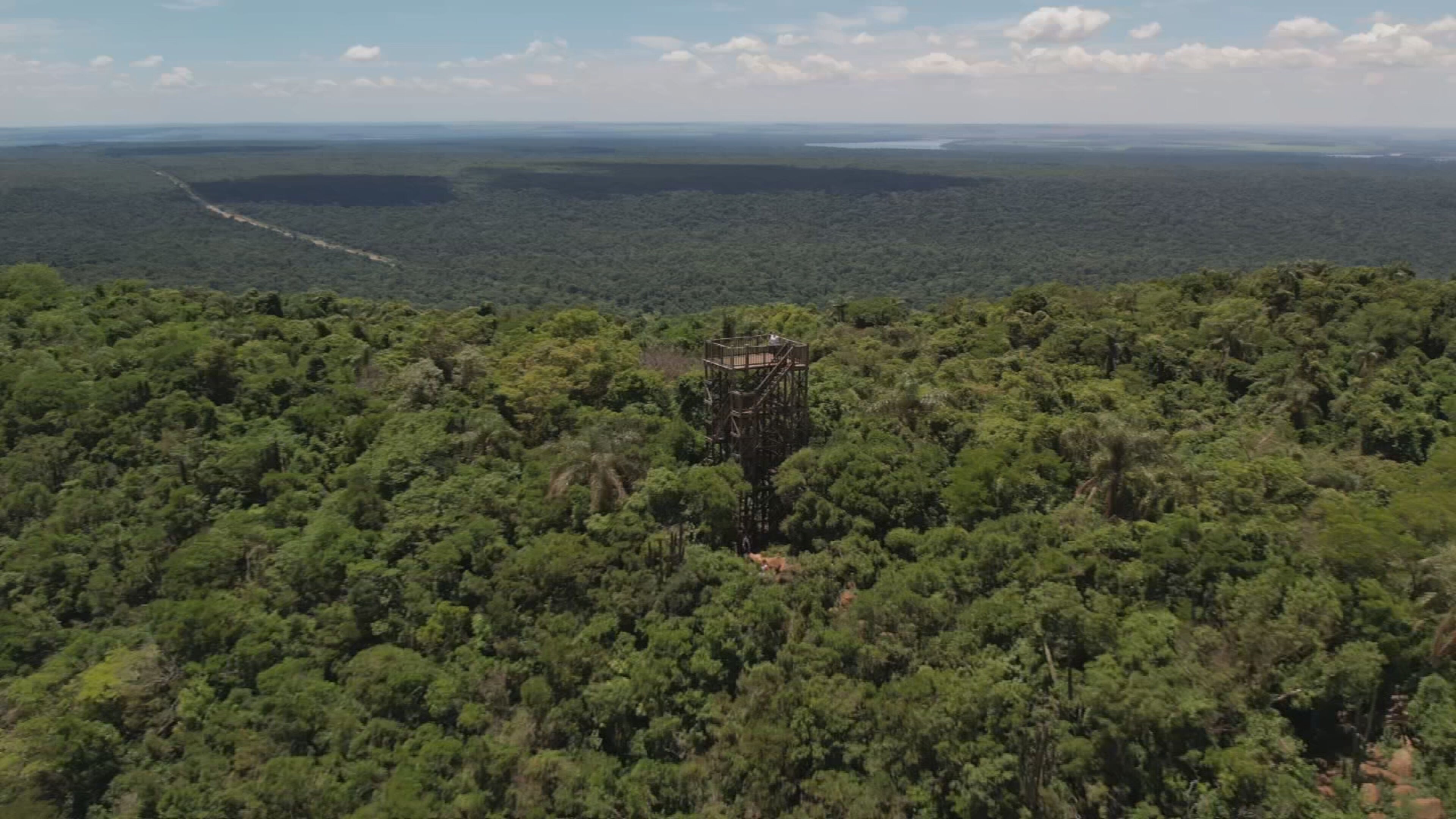 Parque Estadual Morro do Diabo preserva relíquia da Mata Atlântica no interior paulista​‌​
