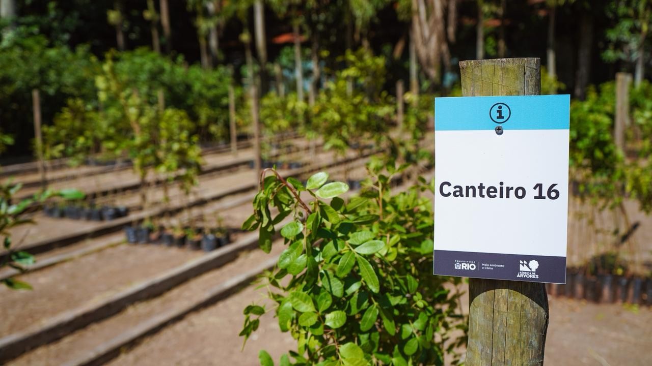Saiba o que é a Fábrica de Árvores do Rio, que acaba de ser ampliada pela prefeitura