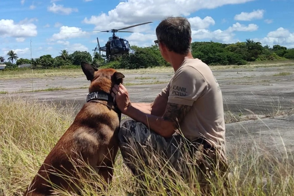 Dragon durante operação com a Polícia Civil — Foto: Divulgação/Polícia Civil