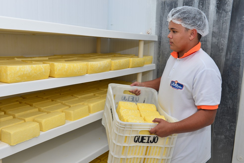 Região é uma grande produtora de queijo coalho. — Foto: Sebrae Ceará