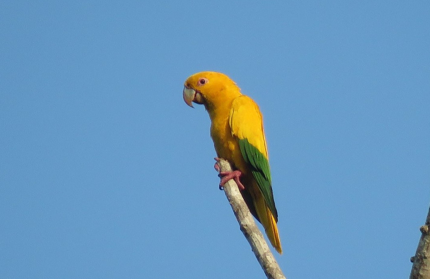 Você Não Tá Convidada pro Meu Bat Mitzvá!