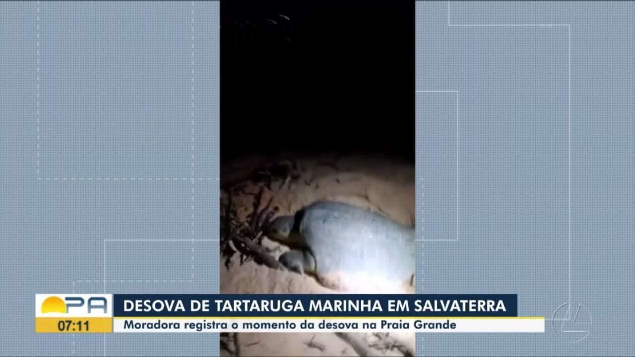 VÍDEOS: Bom Dia Pará de quarta-feira, 3 de abril de 2024