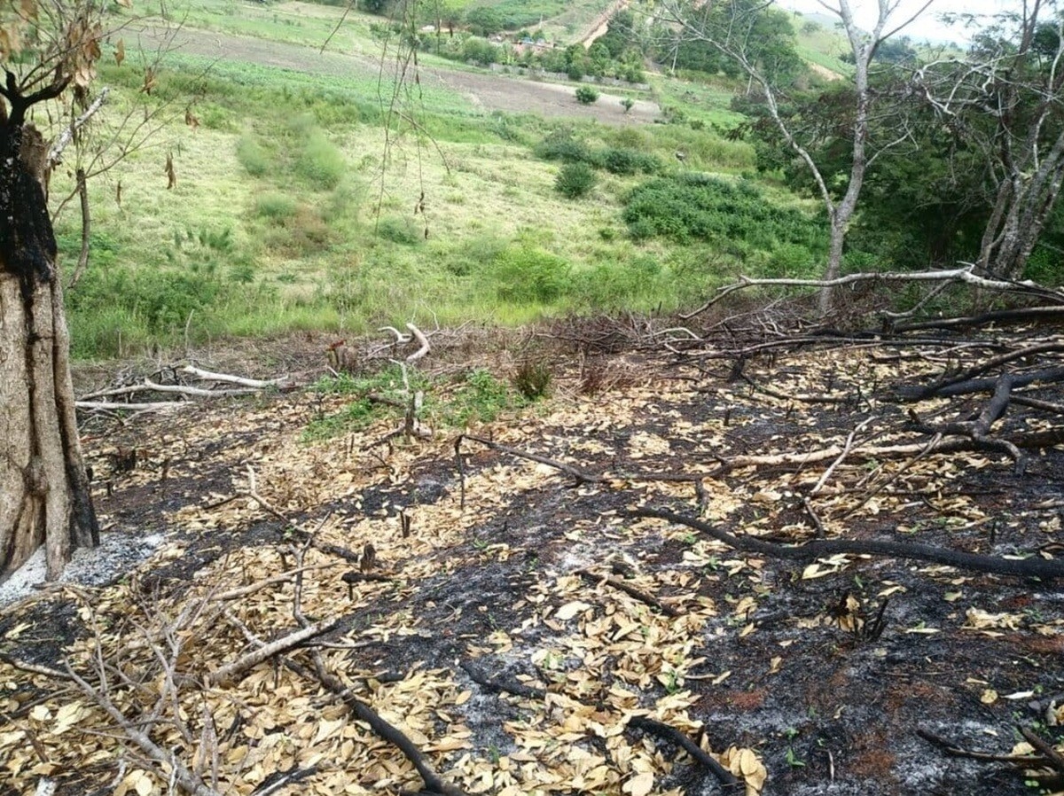 Queimada atinge área de 10 mil metros quadrados às margens da RJ-116, em Itaocara