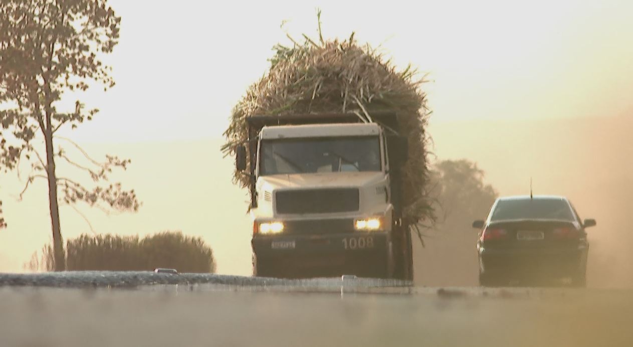 Rodovia Cunha Bueno: trecho de apenas 23 km tem 30 mortes em 5 anos na região de Ribeirão Preto