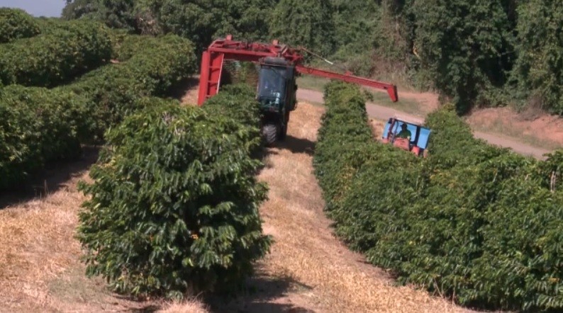 Você Não Tá Convidada pro Meu Bat Mitzvá!