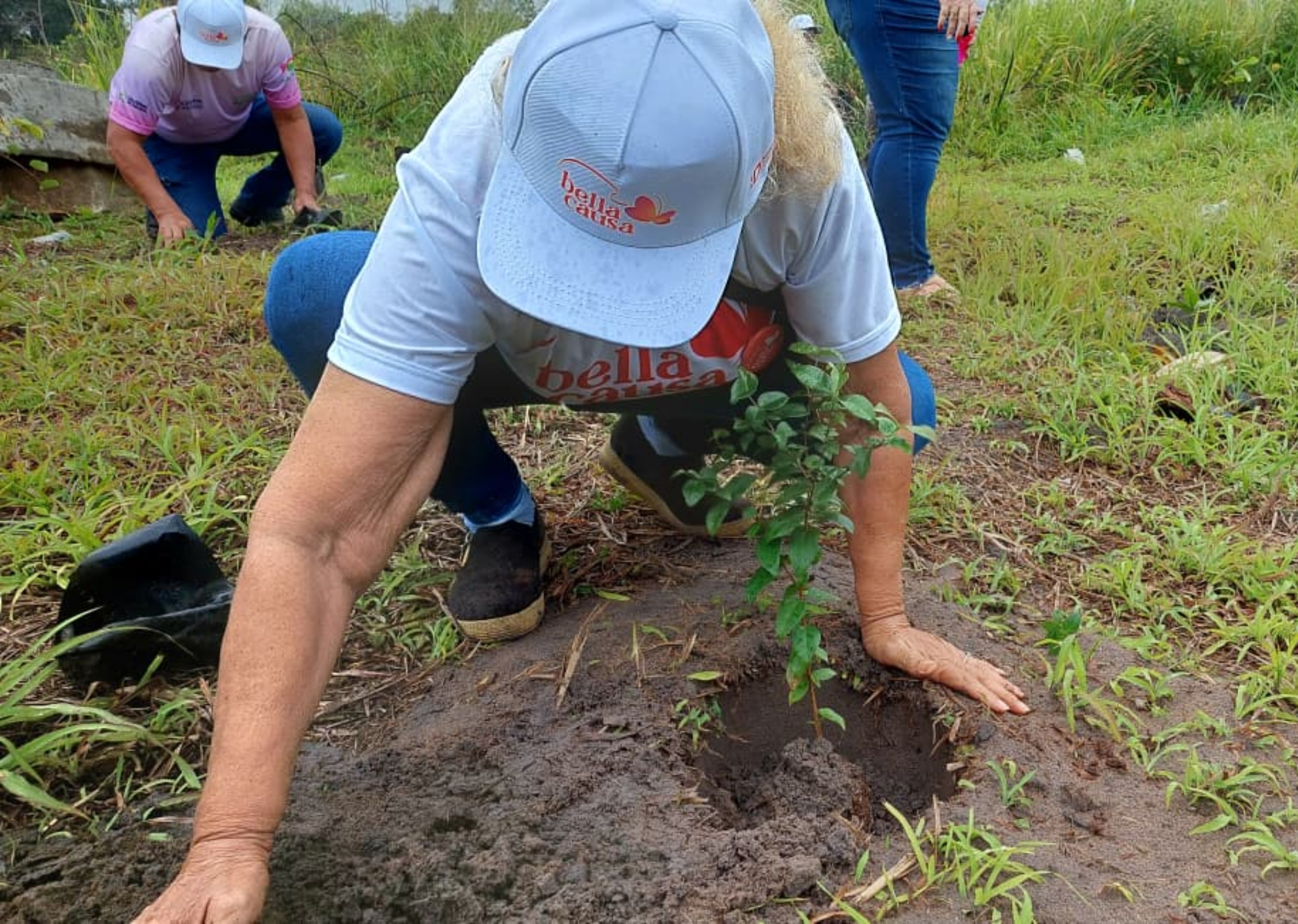 Plantio de pitanga, jaca, açaí e outras árvores frutíferas encerra atividades do Bela Causa em RR