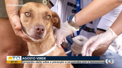 Campanha Agosto Verde alerta para a prevenção e os cuidados com a leishmaniose