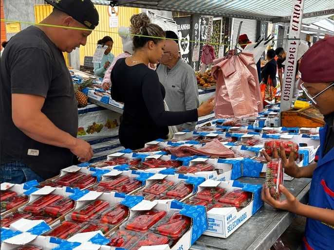 Prefeitura de SP lança edital com 373 vagas em feiras livres