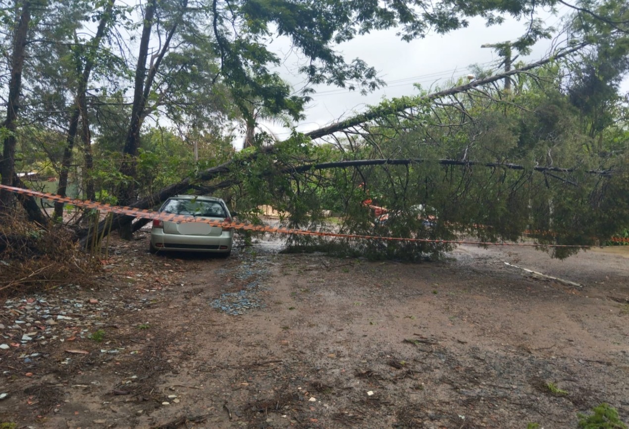 Chuva e ventos fortes causam estragos em cidades da região de Itapetininga; confira