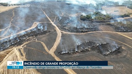 Queimada atinge lavoura às margens da TO-070, em Aliança do Tocantins