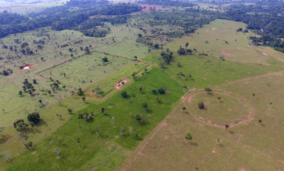 Geoglifos podem ser vistos no Acre e são estudados há mais de 20 anos  — Foto: edro Devani/Secom-AC
